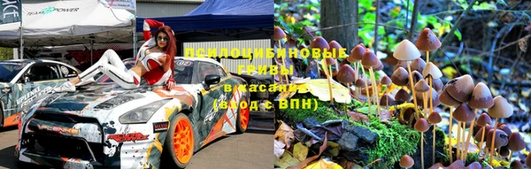гашик Абинск