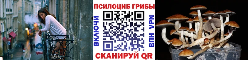 даркнет клад  hydra tor  Кандалакша  Галлюциногенные грибы прущие грибы 